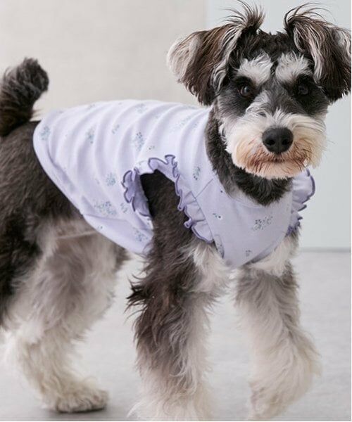 petit main / プティマイン ペットグッズ | 【リンク】【DOG】総柄肩フリルタンク | 詳細3