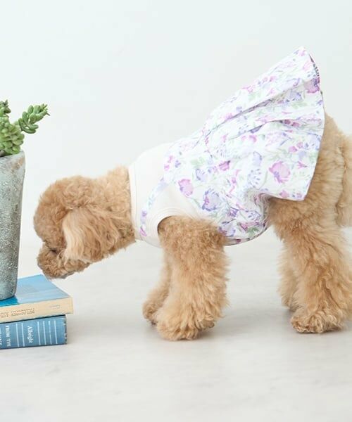 petit main / プティマイン ペットグッズ | 【リンク】【DOG】花柄ドッキングワンピ | 詳細1