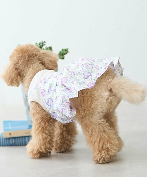 petit main / プティマイン ペットグッズ | 【リンク】【DOG】花柄ドッキングワンピ | 詳細3