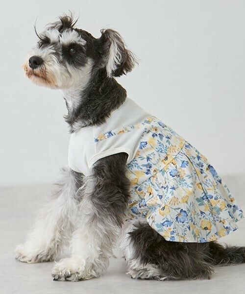 petit main / プティマイン ペットグッズ | 【リンク】【DOG】花柄ドッキングワンピ | 詳細4