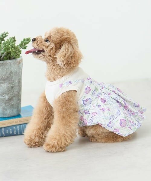 petit main / プティマイン ペットグッズ | 【リンク】【DOG】花柄ドッキングワンピ（ピンク）