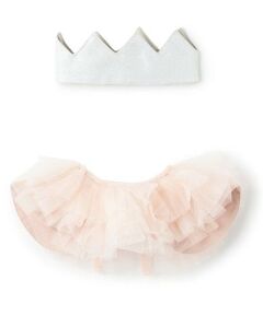 petit main / プティマイン おもちゃ・トイカメラ | セレブレーションセット