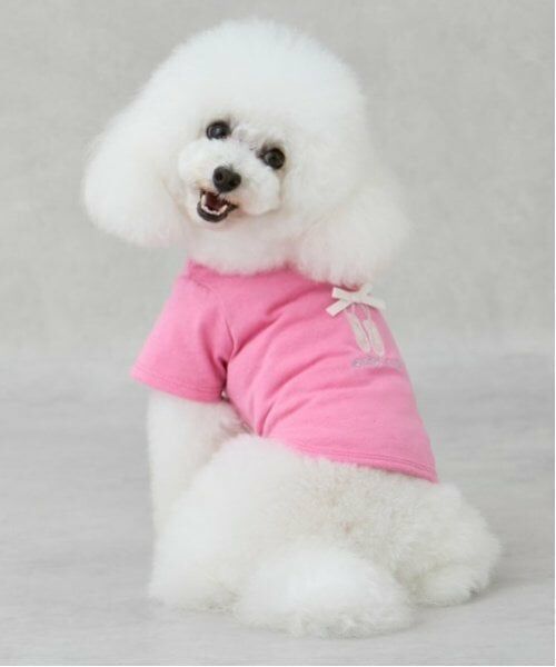 petit main / プティマイン ペットグッズ | 【DOG】バレリーナ刺しゅうTシャツ（ピンク）