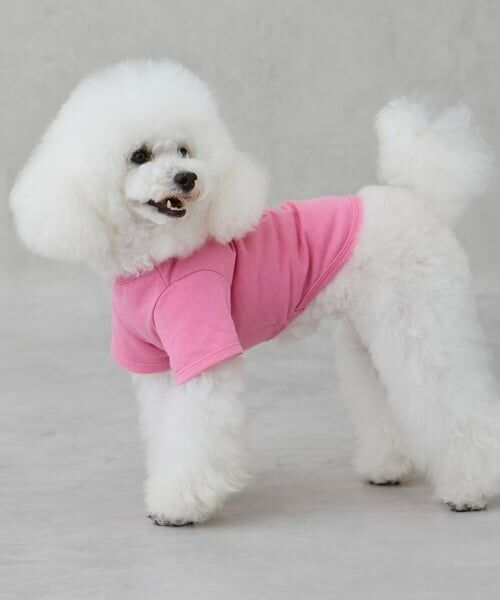 petit main / プティマイン ペットグッズ | 【DOG】バレリーナ刺しゅうTシャツ | 詳細2