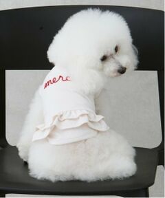 petit main / プティマイン ペットグッズ | 【リンク】【DOG】【水陸】フリルタンク