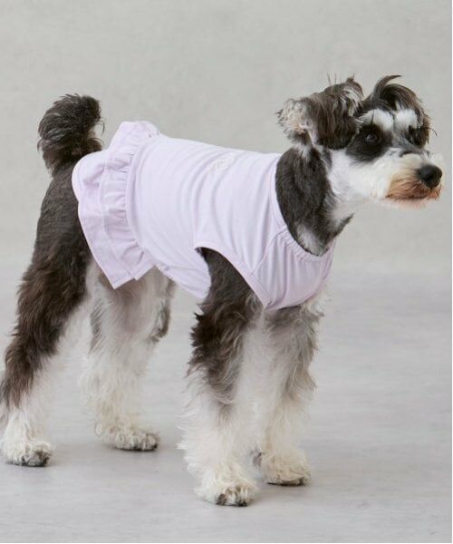 petit main / プティマイン ペットグッズ | 【リンク】【DOG】【水陸】フリルタンク | 詳細5