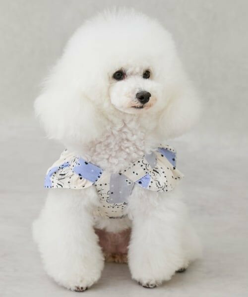 petit main / プティマイン ペットグッズ | 【リンク】【DOG】 肩フリルワンピ | 詳細1