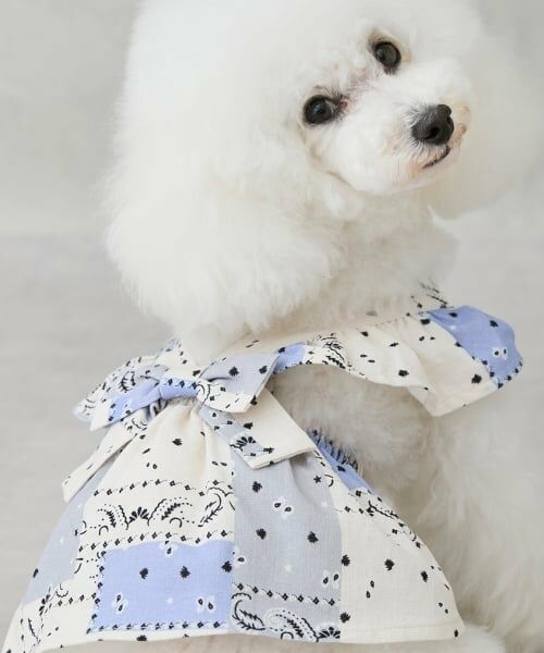 petit main / プティマイン ペットグッズ | 【リンク】【DOG】 肩フリルワンピ | 詳細2