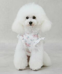 petit main / プティマイン ハンカチ | 【DOG】【SWIM】肩フリル柄タンク