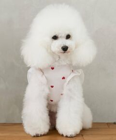 petit main / プティマイン ハンカチ | 【DOG】【SWIM】肩フリル柄タンク