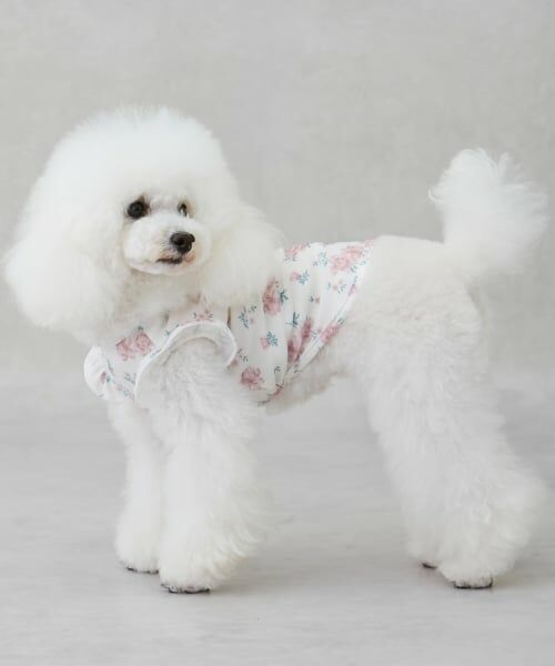 petit main / プティマイン ハンカチ | 【DOG】【SWIM】肩フリル柄タンク | 詳細1