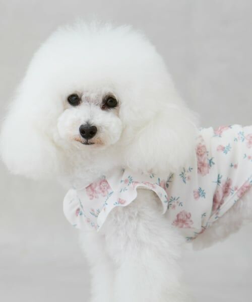 petit main / プティマイン ハンカチ | 【DOG】【SWIM】肩フリル柄タンク | 詳細2