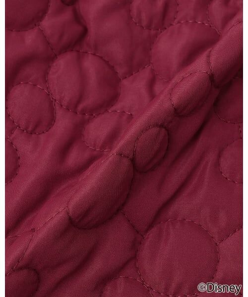 petit main / プティマイン ミニ・ひざ丈スカート | 【Disney】【リンク】キルトスカート | 詳細8