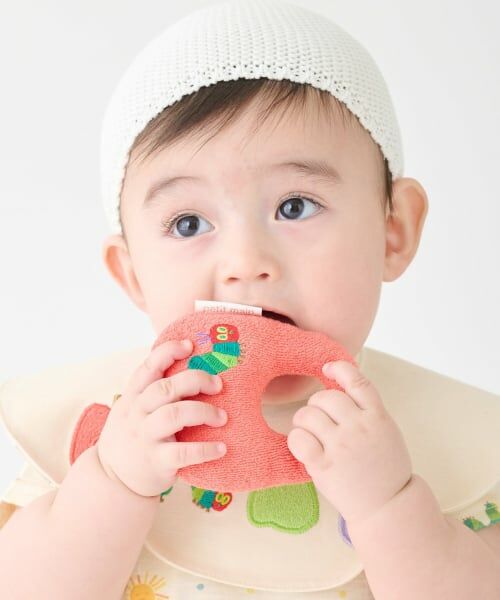 petit main / プティマイン おもちゃ・トイカメラ | 【はらぺこあおむし】フルーツラトル | 詳細1