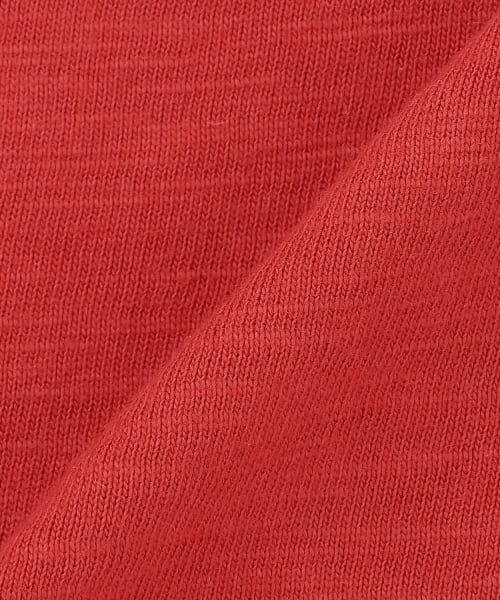 petit main / プティマイン Tシャツ | 【WEB別注】【JAWS】接触冷感スラブ天竺半袖T | 詳細6