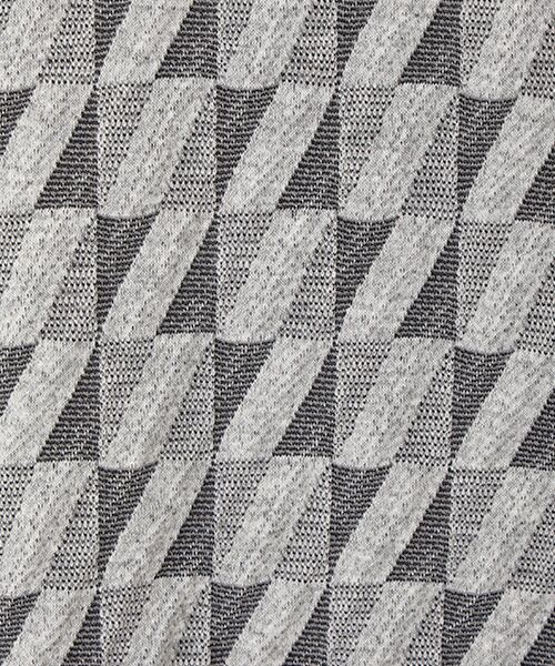 pierre cardin signe (大きいサイズ) / ピエール・カルダン シーニュ (オオキイサイズ) その他トップス | 幾何柄ＪＱPO | 詳細1