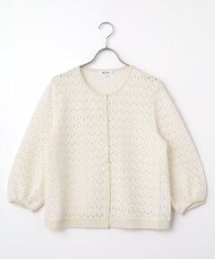 pierre cardin signe / ピエール・カルダン シーニュ シャツ・ブラウス | ストレッチレースブラウス