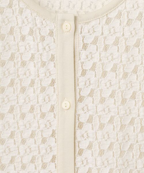 pierre cardin signe / ピエール・カルダン シーニュ シャツ・ブラウス | ストレッチレースブラウス | 詳細1