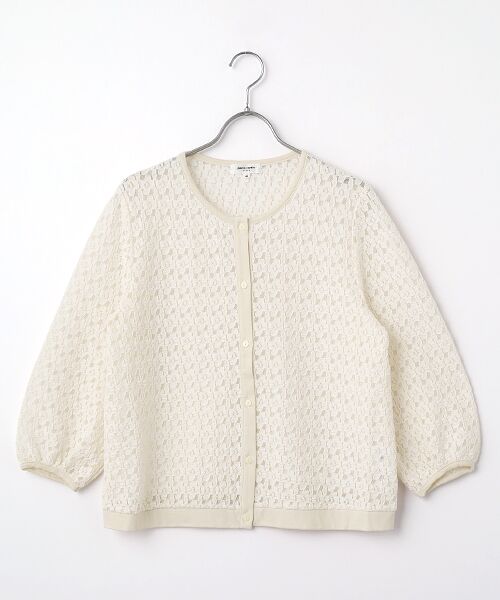 pierre cardin signe / ピエール・カルダン シーニュ シャツ・ブラウス | ストレッチレースブラウス（アイボリー）