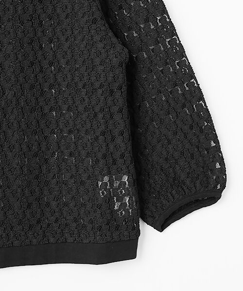 pierre cardin signe / ピエール・カルダン シーニュ シャツ・ブラウス | ストレッチレースブラウス | 詳細4