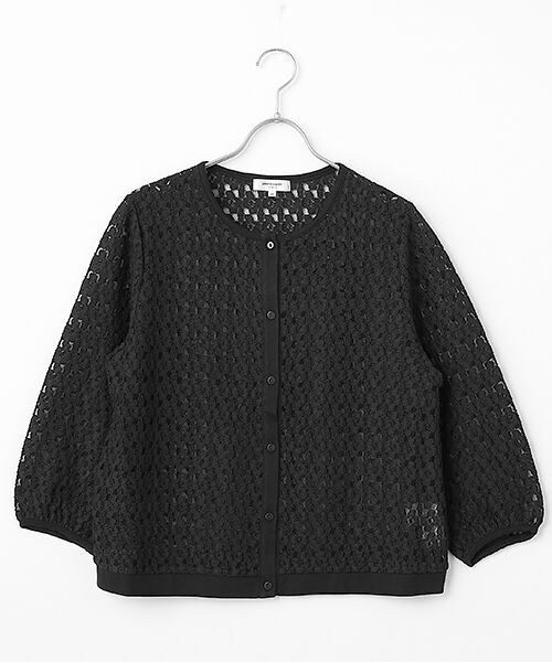 pierre cardin signe / ピエール・カルダン シーニュ シャツ・ブラウス | ストレッチレースブラウス（ブラック）