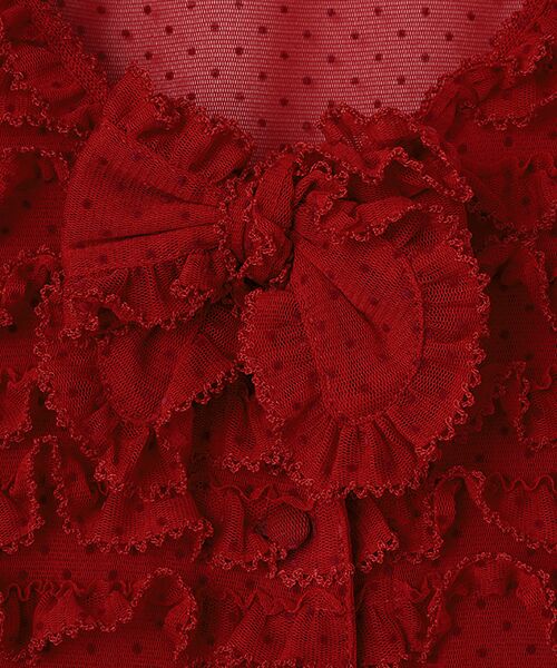 PINK HOUSE / ピンクハウス シャツ・ブラウス | フロッキードットチュールブラウス | 詳細2