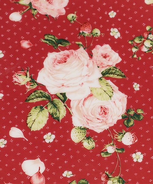 PINK HOUSE / ピンクハウス 食器 | 【PINK HOUSE LIFE STYLE】ケーキ皿 | 詳細3