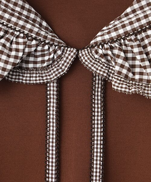PINK HOUSE / ピンクハウス カットソー | ギンガムチェックフリル襟使いカットソー | 詳細8