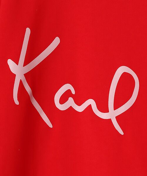 PINK HOUSE / ピンクハウス Tシャツ | ビックロゴプリントTシャツ | 詳細9