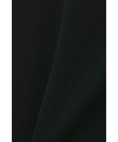 PINKY & DIANNE / ピンキーアンドダイアン ワンピース | ［ウォッシャブル］マットポンチバイカラーワンピース | 詳細18