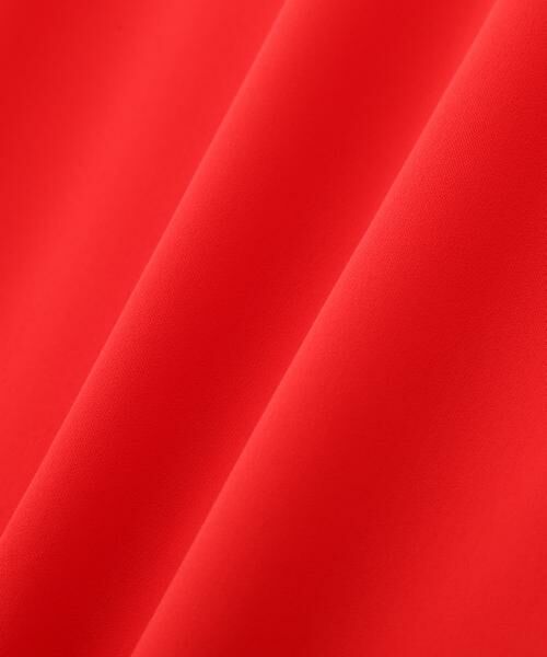 PINKY & DIANNE / ピンキーアンドダイアン シャツ・ブラウス | ◆カフスフレンチスリーブブラウス | 詳細6