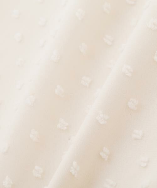 PINKY & DIANNE / ピンキーアンドダイアン シャツ・ブラウス | ◆シアージャカードブラウス | 詳細9