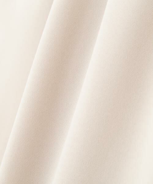 PINKY & DIANNE / ピンキーアンドダイアン スカート | ◆２WAYストレッチフロントジップスカート | 詳細17