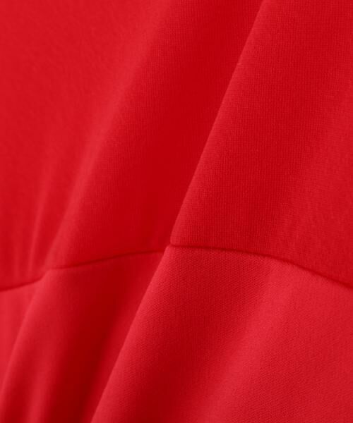 PINKY & DIANNE / ピンキーアンドダイアン カットソー | ◆シアードッキングシャーリングカットソー | 詳細5