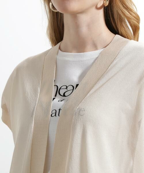 PINKY & DIANNE / ピンキーアンドダイアン カーディガン・ボレロ | ◆シアーニットロングジレ | 詳細15