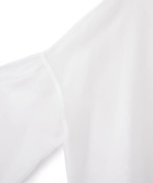 PINKY & DIANNE / ピンキーアンドダイアン シャツ・ブラウス | ボリュームスリーブシアーブラウス | 詳細10