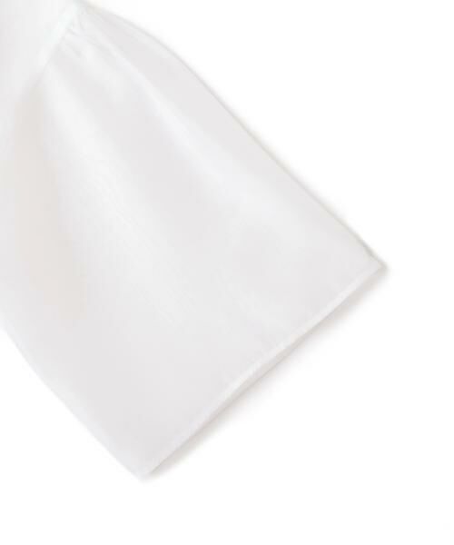 PINKY & DIANNE / ピンキーアンドダイアン シャツ・ブラウス | ボリュームスリーブシアーブラウス | 詳細11