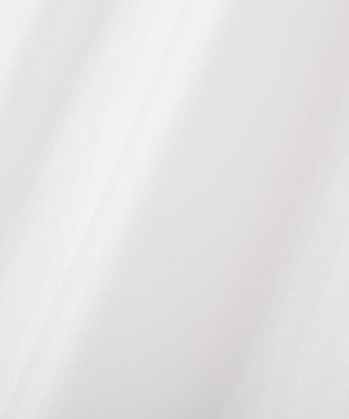 PINKY & DIANNE / ピンキーアンドダイアン シャツ・ブラウス | ボリュームスリーブシアーブラウス | 詳細15