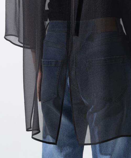 PINKY & DIANNE / ピンキーアンドダイアン シャツ・ブラウス | ボリュームスリーブシアーブラウス | 詳細29