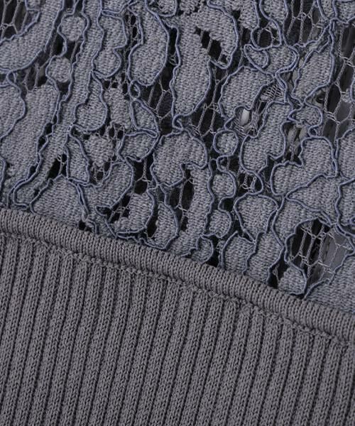 PINKY & DIANNE / ピンキーアンドダイアン ミニ丈・ひざ丈ワンピース | レースドッキングワンピース | 詳細28