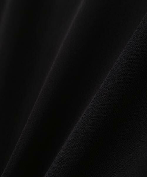 PINKY & DIANNE / ピンキーアンドダイアン ニット・セーター | ◆ボートネックシアーニットプルオーバー | 詳細6