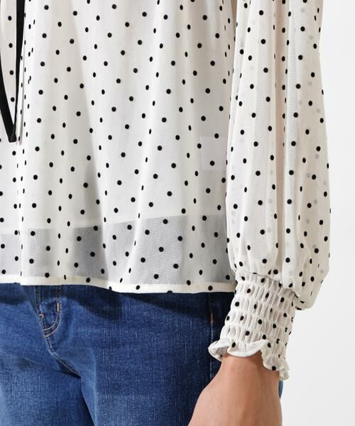 PINKY & DIANNE / ピンキーアンドダイアン シャツ・ブラウス | ドットフロッキーブラウス | 詳細10