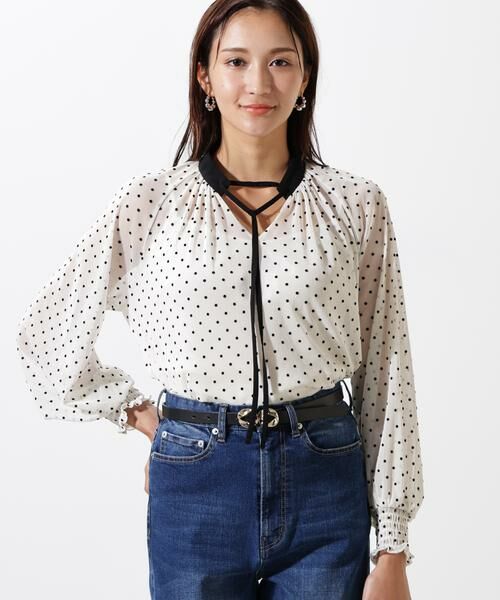 PINKY & DIANNE / ピンキーアンドダイアン シャツ・ブラウス | ドットフロッキーブラウス | 詳細2