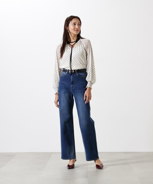 PINKY & DIANNE / ピンキーアンドダイアン シャツ・ブラウス | ドットフロッキーブラウス | 詳細4