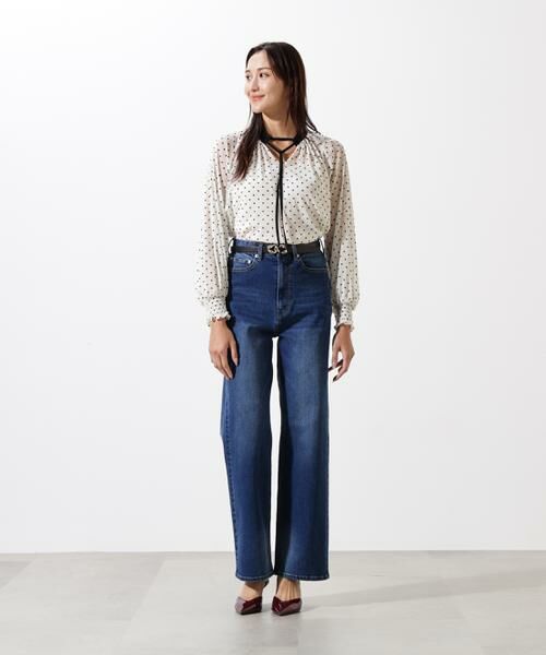 PINKY & DIANNE / ピンキーアンドダイアン シャツ・ブラウス | ドットフロッキーブラウス | 詳細5