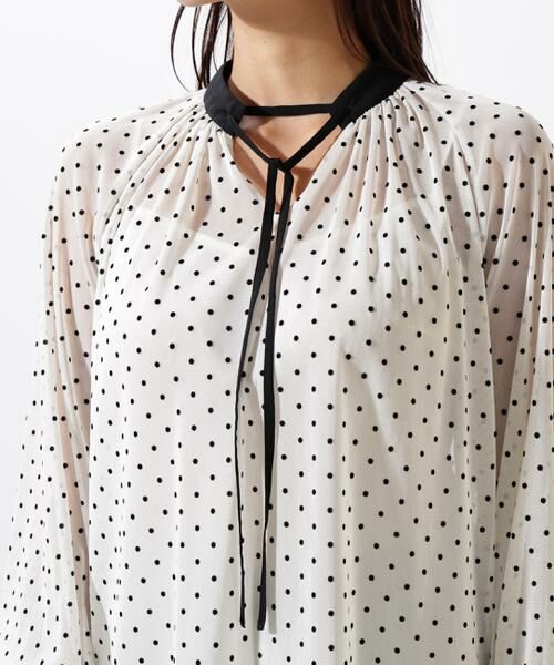 PINKY & DIANNE / ピンキーアンドダイアン シャツ・ブラウス | ドットフロッキーブラウス | 詳細8