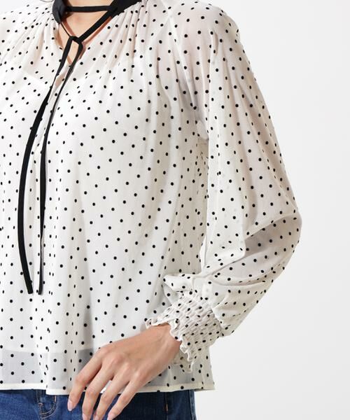 PINKY & DIANNE / ピンキーアンドダイアン シャツ・ブラウス | ドットフロッキーブラウス | 詳細9