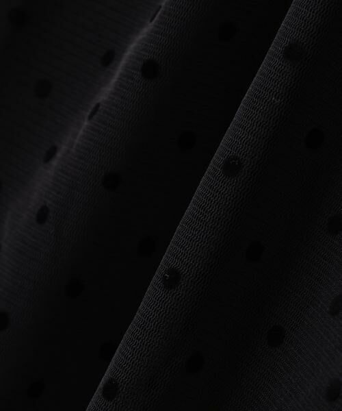 PINKY & DIANNE / ピンキーアンドダイアン シャツ・ブラウス | ドットフロッキーブラウス | 詳細18