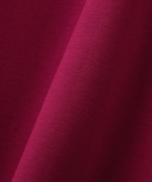 PINKY & DIANNE / ピンキーアンドダイアン ミニ丈・ひざ丈ワンピース | ◆バイカラーコンビワンピース | 詳細18