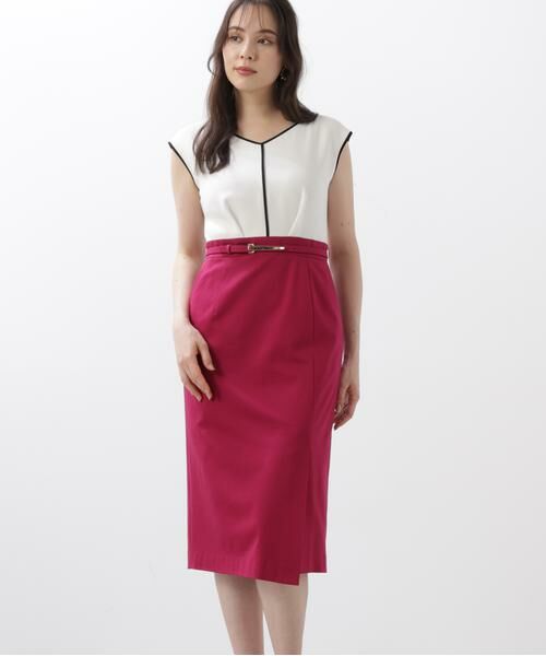 PINKY & DIANNE / ピンキーアンドダイアン ミニ丈・ひざ丈ワンピース | ◆バイカラーコンビワンピース | 詳細8